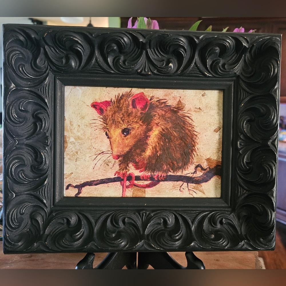 Upcycled Plastic Vintage Frame with Possum Art 11" x 9